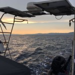 518bf36a-c2d3-4a43-8b72-7ed4f24e901c